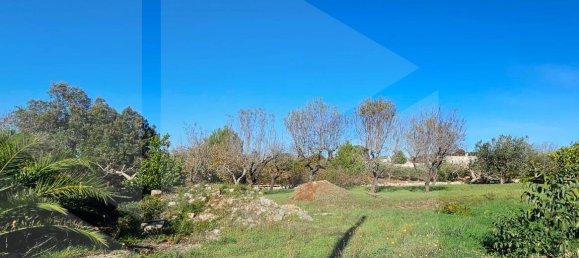 3 rooms Villa in Martina Franca, Italy No. 24782 13