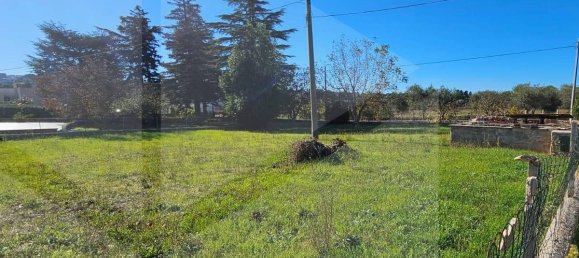 3 rooms Villa in Martina Franca, Italy No. 24782 15