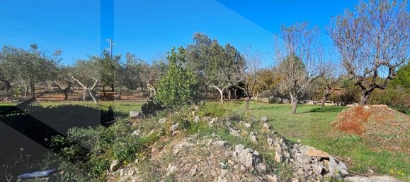 3 rooms Villa in Martina Franca, Italy No. 24782 14