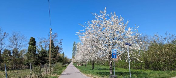 Apartamento de 2 habitaciónes en Karlsruhe, Germany No. 273593 11