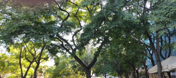 4 غرف نوم شقة في Esplugues de Llobregat, Spain رقم 188947 5