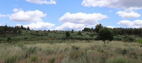 48000m² Land in Seixo da Beira, Portugal No. 11482 21