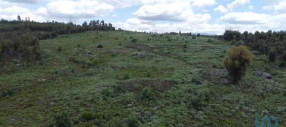 48000m² Land in Seixo da Beira, Portugal No. 11482 7