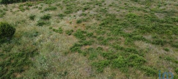 48000m² Land in Seixo da Beira, Portugal No. 11482 19