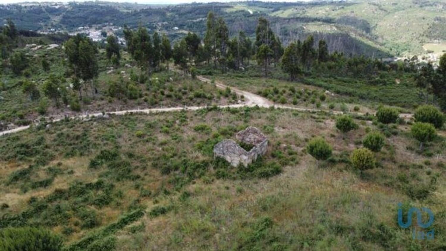 48000m² Land in Seixo da Beira, Portugal No. 11482