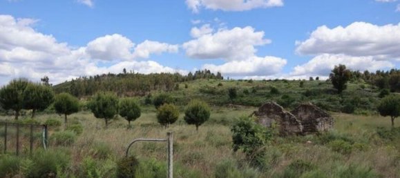 48000m² Land in Seixo da Beira, Portugal No. 11482 2