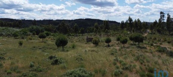 48000m² Land in Seixo da Beira, Portugal No. 11482 12