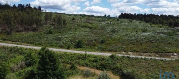 48000m² Land in Seixo da Beira, Portugal No. 11482 16