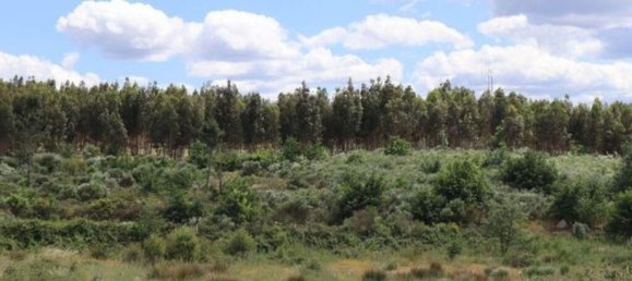 48000m² Land in Seixo da Beira, Portugal No. 11482 14