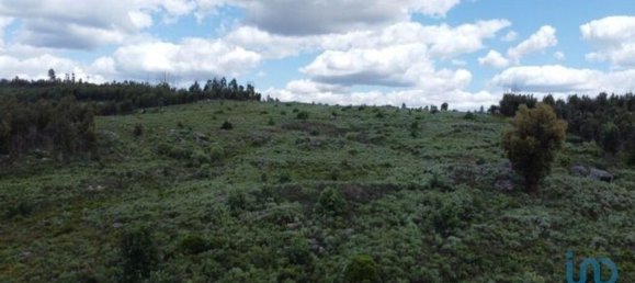 48000m² Land in Seixo da Beira, Portugal No. 11482 18