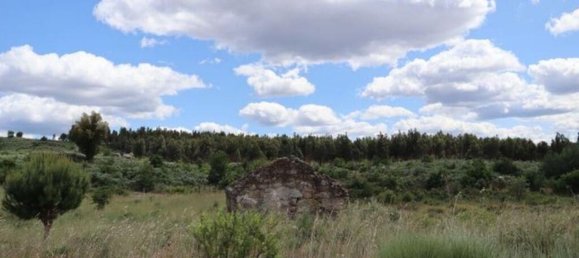 48000m² Land in Seixo da Beira, Portugal No. 11482 15