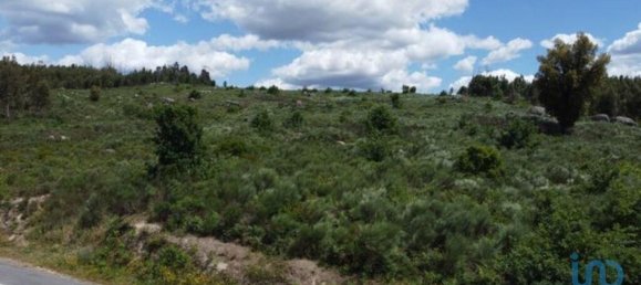 48000m² Land in Seixo da Beira, Portugal No. 11482 13
