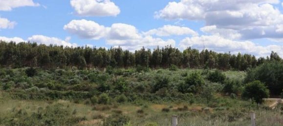 48000m² Land in Seixo da Beira, Portugal No. 11482 3