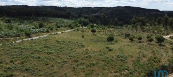 48000m² Land in Seixo da Beira, Portugal No. 11482 25