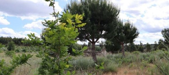 48000m² Land in Seixo da Beira, Portugal No. 11482 22