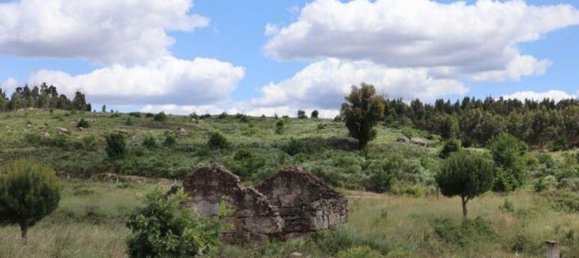 48000m² Land in Seixo da Beira, Portugal No. 11482 9