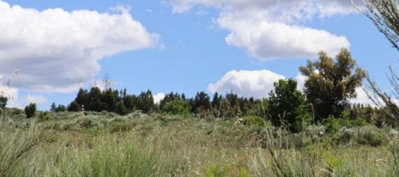 48000m² Land in Seixo da Beira, Portugal No. 11482 11