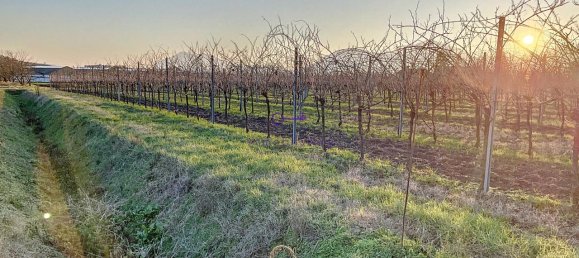 Terrain à Galzignano Terme, Italy 3950m² No. 64189 2