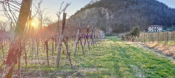 Terrain à Galzignano Terme, Italy 3950m² No. 64189 8