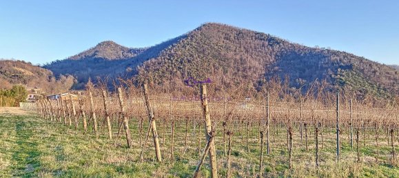 Terrain à Galzignano Terme, Italy 3950m² No. 64189 6