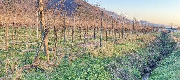 Terrain à Galzignano Terme, Italy 3950m² No. 64189 11