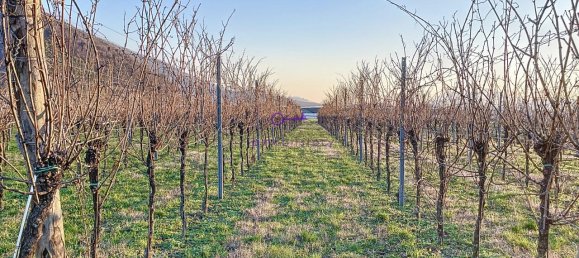 Terrain à Galzignano Terme, Italy 3950m² No. 64189 4