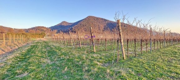 Terrain à Galzignano Terme, Italy 3950m² No. 64189 10