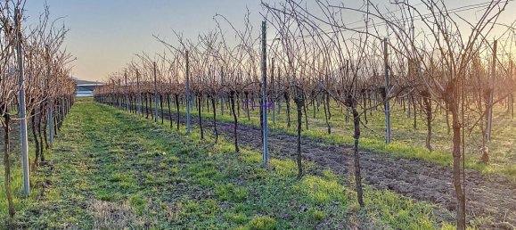 Terrain à Galzignano Terme, Italy 3950m² No. 64189 9