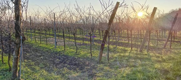 Terrain à Galzignano Terme, Italy 3950m² No. 64189 3