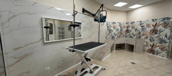 2-Zimmer Gewerbliche Immobilie in Rome, Italy, Nr. 327715 6