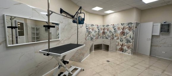 2-Zimmer Gewerbliche Immobilie in Rome, Italy, Nr. 327715 5