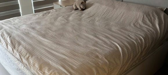 2 Schlafzimmer Wohnung in Hai Chau, Vietnam, Nr. 20479 9