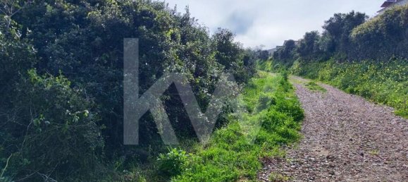 Grundstück in Mafra, Portugal 2250m², Nr. 64248 17