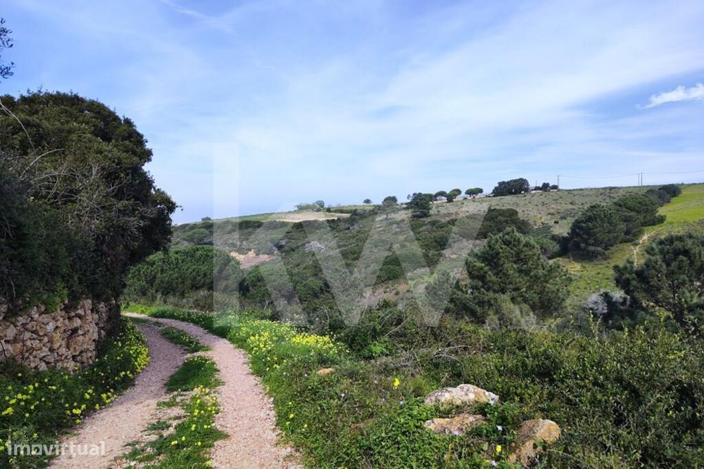 Grundstück in Mafra, Portugal 2250m², Nr. 64248