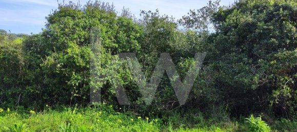 Grundstück in Mafra, Portugal 2250m², Nr. 64248 6