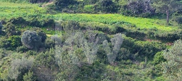 Grundstück in Mafra, Portugal 2250m², Nr. 64248 3