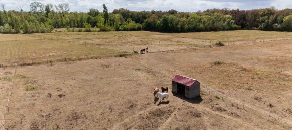 4 bedrooms Castles in Libourne, France No. 352550 5