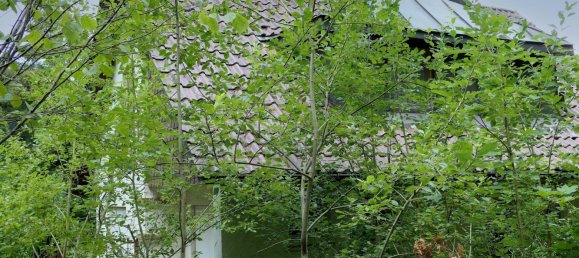 3 chambres Maison à Calw, Germany No. 260913 10