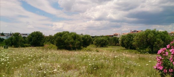 4770m² Hotel in Polygyros, Greece No. 4337 2