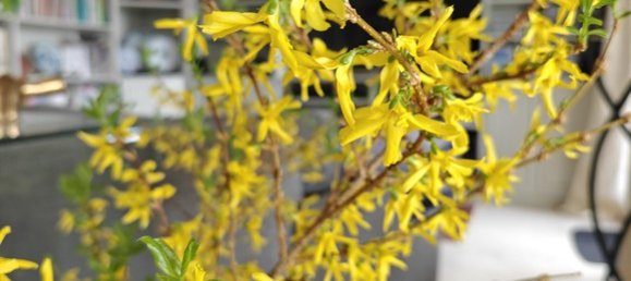 7 bedrooms Townhouse in Hochtaunuskreis, Germany No. 336107 15