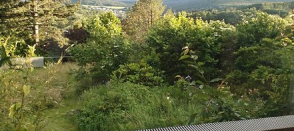 7 bedrooms Townhouse in Hochtaunuskreis, Germany No. 336107 6