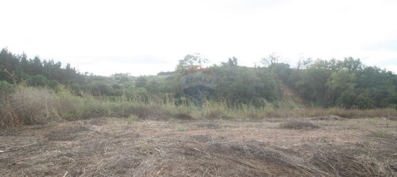 Terreno en Cadaval, Portugal 8800 m² No. 69644 6