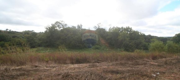 Terreno en Cadaval, Portugal 8800 m² No. 69644 10