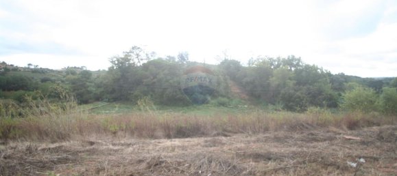 Terreno en Cadaval, Portugal 8800 m² No. 69644 9