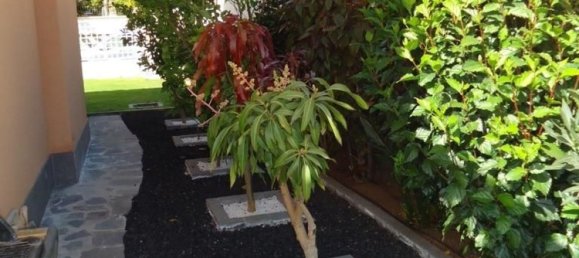 3 Schlafzimmer Haus in Adeje, Spain, Nr. 146201 6