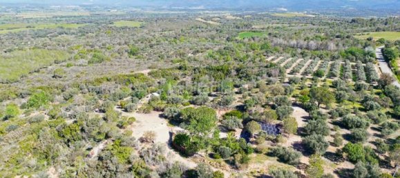 3 chambres Maison à Peralada, Spain No. 78398 14