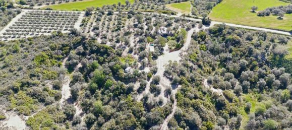 3 chambres Maison à Peralada, Spain No. 78398 5