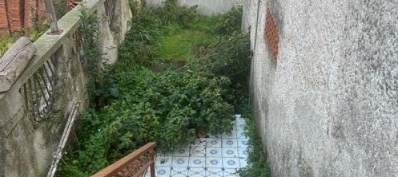 4غرفة فيلا في Castel Volturno, Italy رقم 238131 25