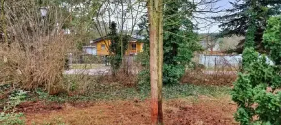 Terrain à Teltow-Flaming, Germany No. 86887 4