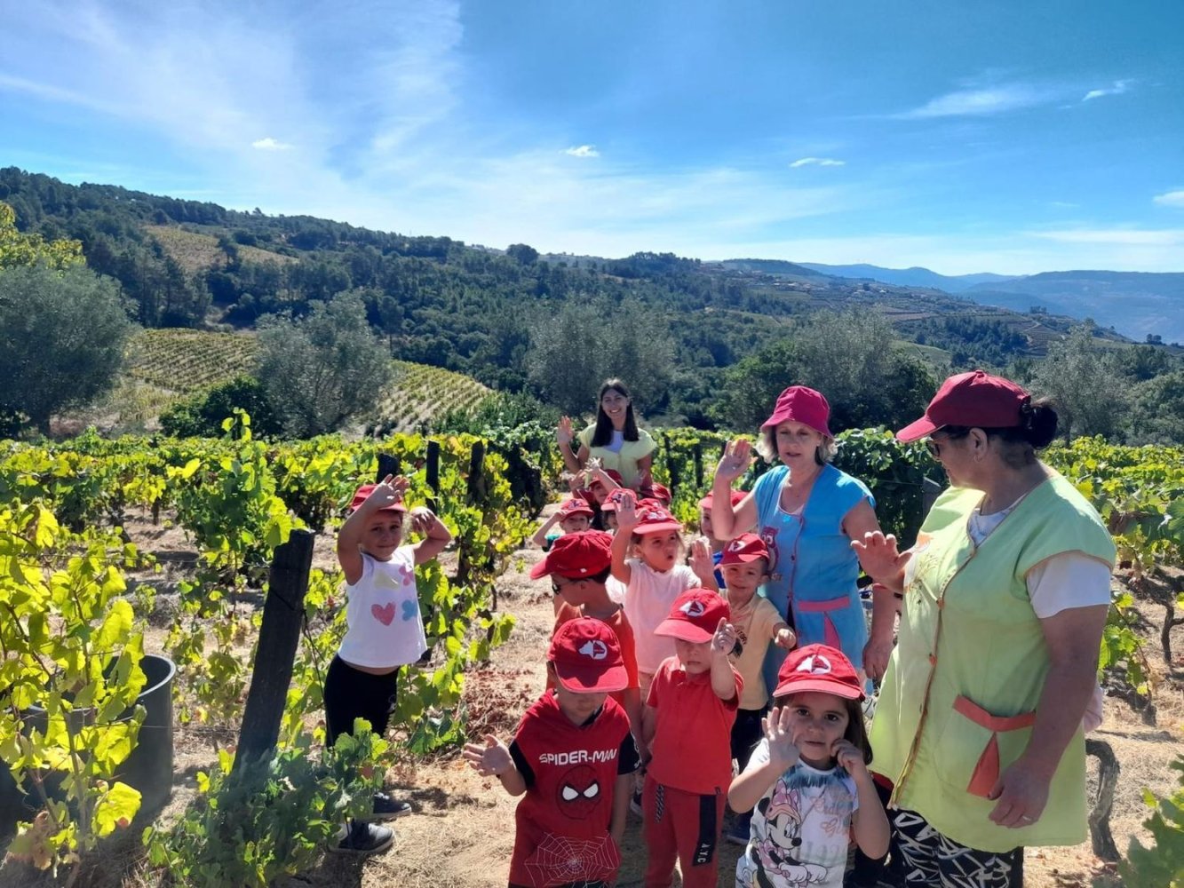  Land in Peso da Regua, Portugal No. 294594